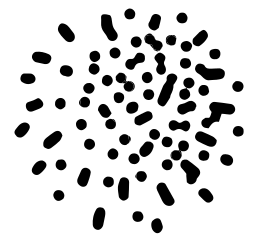 Logo Wisio