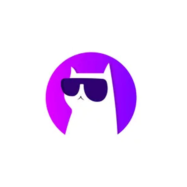 Logo Stunning.so