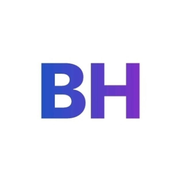 Logo BHuman