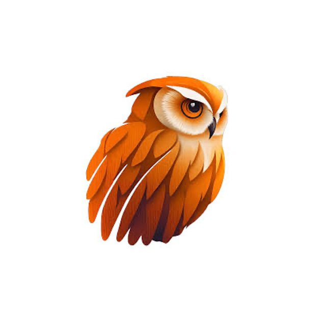 Logo Owlift