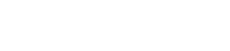 Logo MindVideo AI
