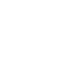 Logo Peak AI